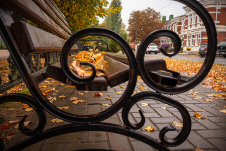 Осенние мотивы