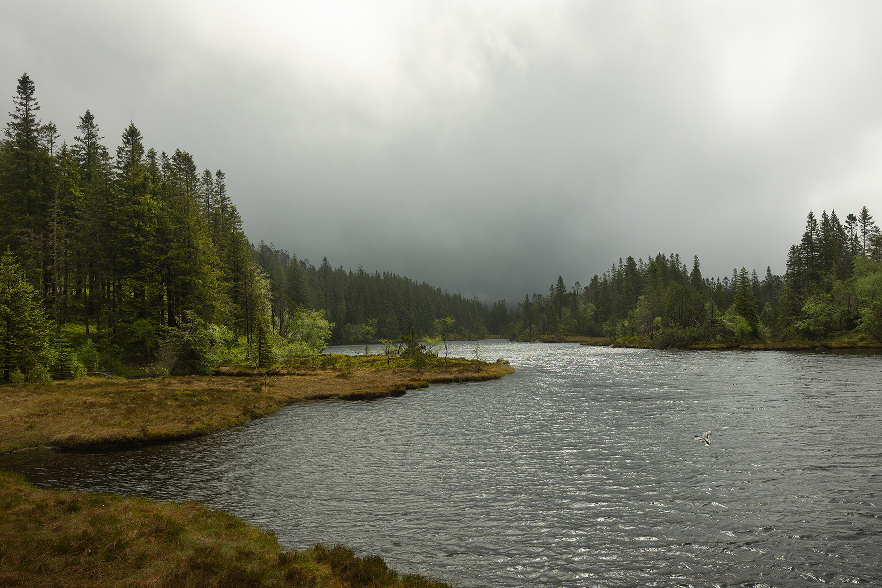 Blåmansvatnet