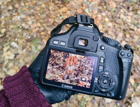 Фотоохота