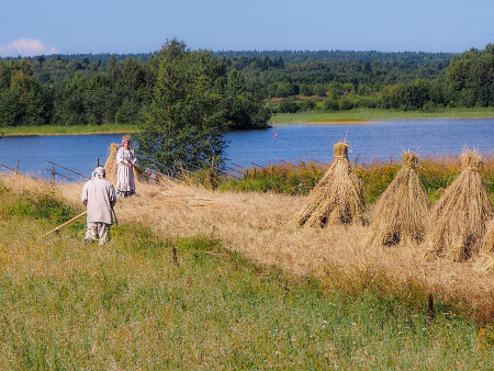 Пора сенокоса