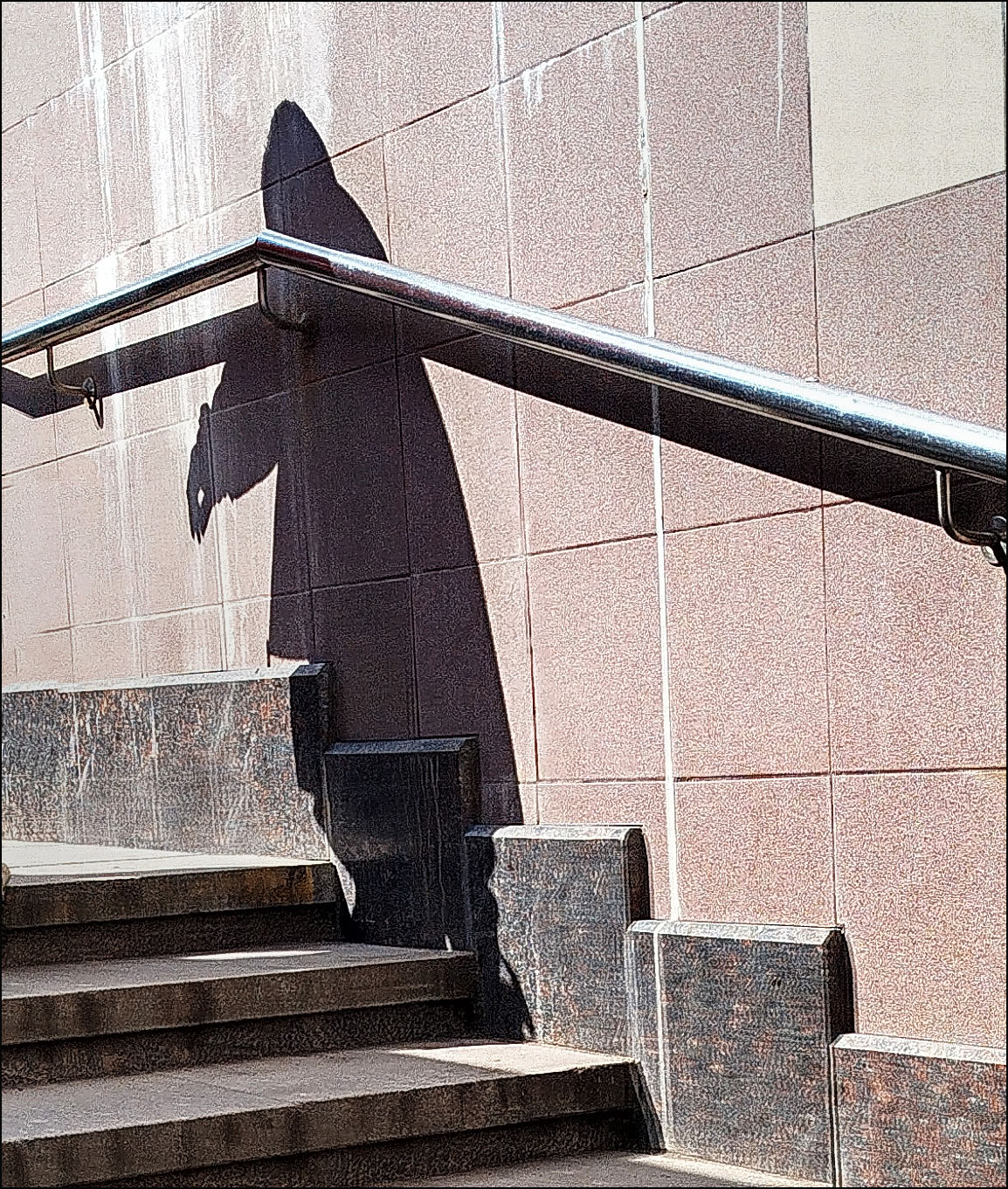 тень