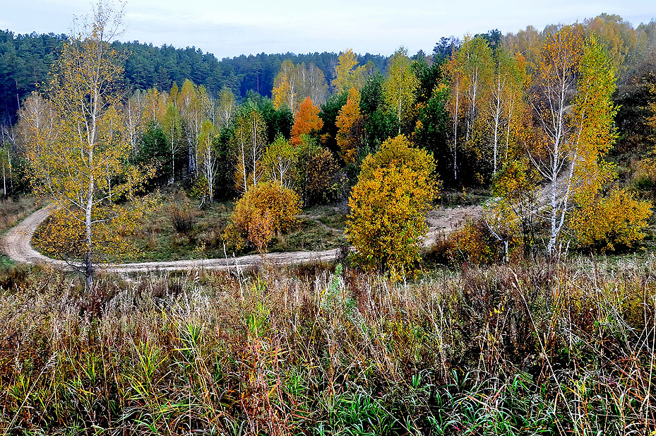 Дорога.