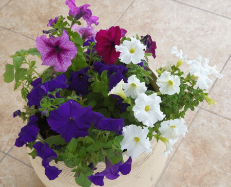 [url=https://ibb.co/CKdhj3w8][img]https://i.ibb.co/LdwnTX0R/DSC03862.jpg[/img][