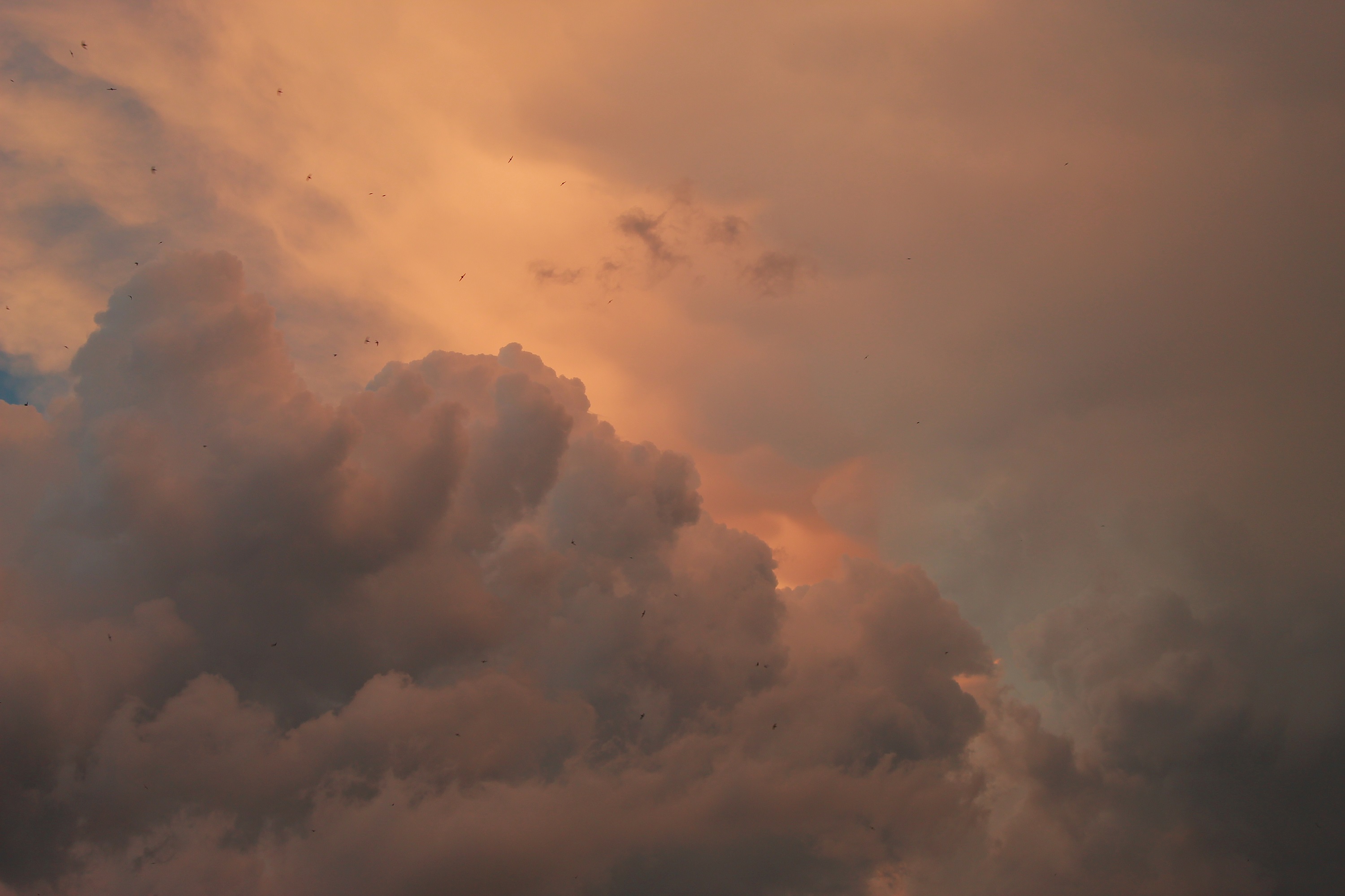 marshmallow sweet cotton clouds