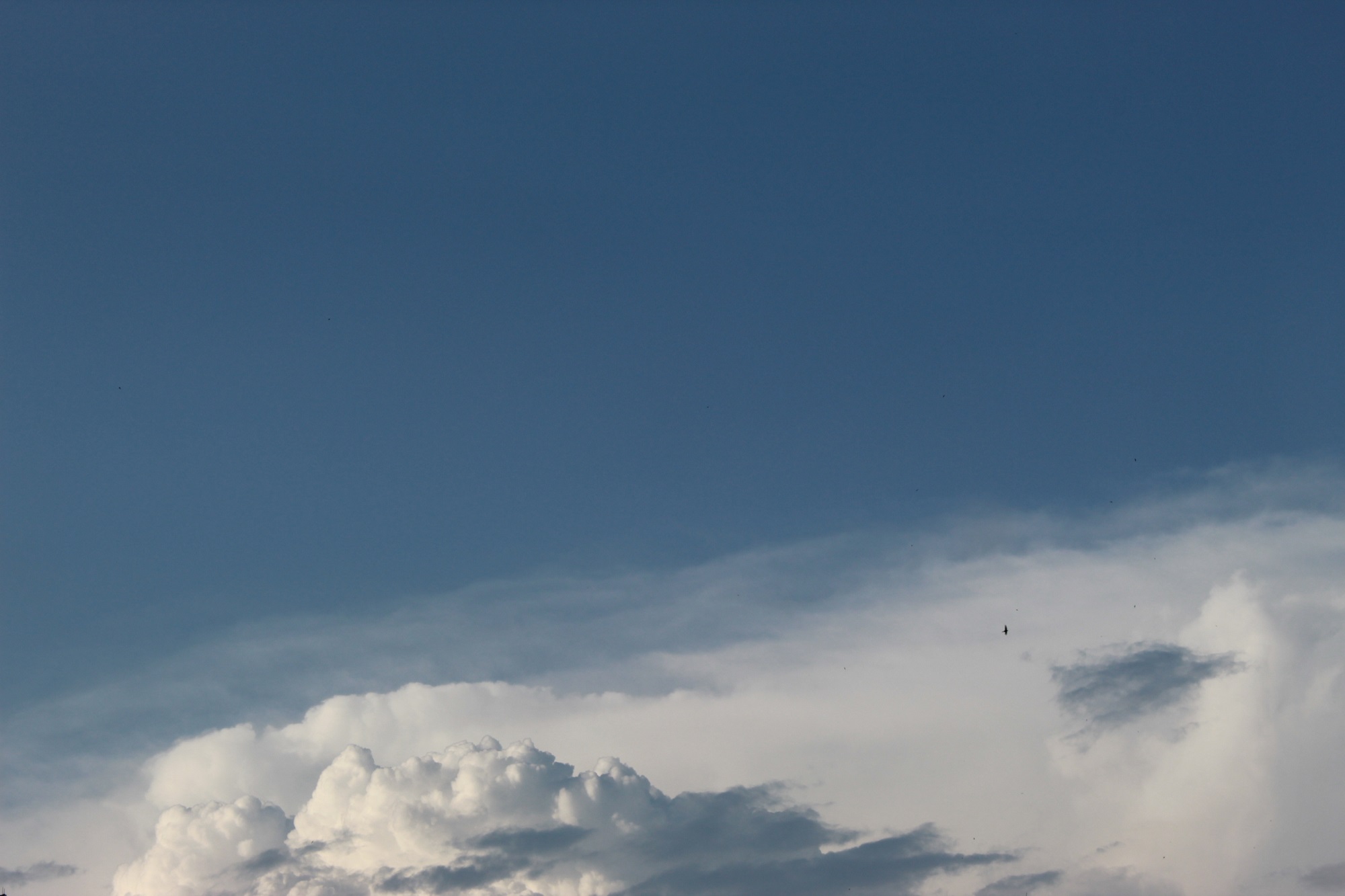airy purity of the sky