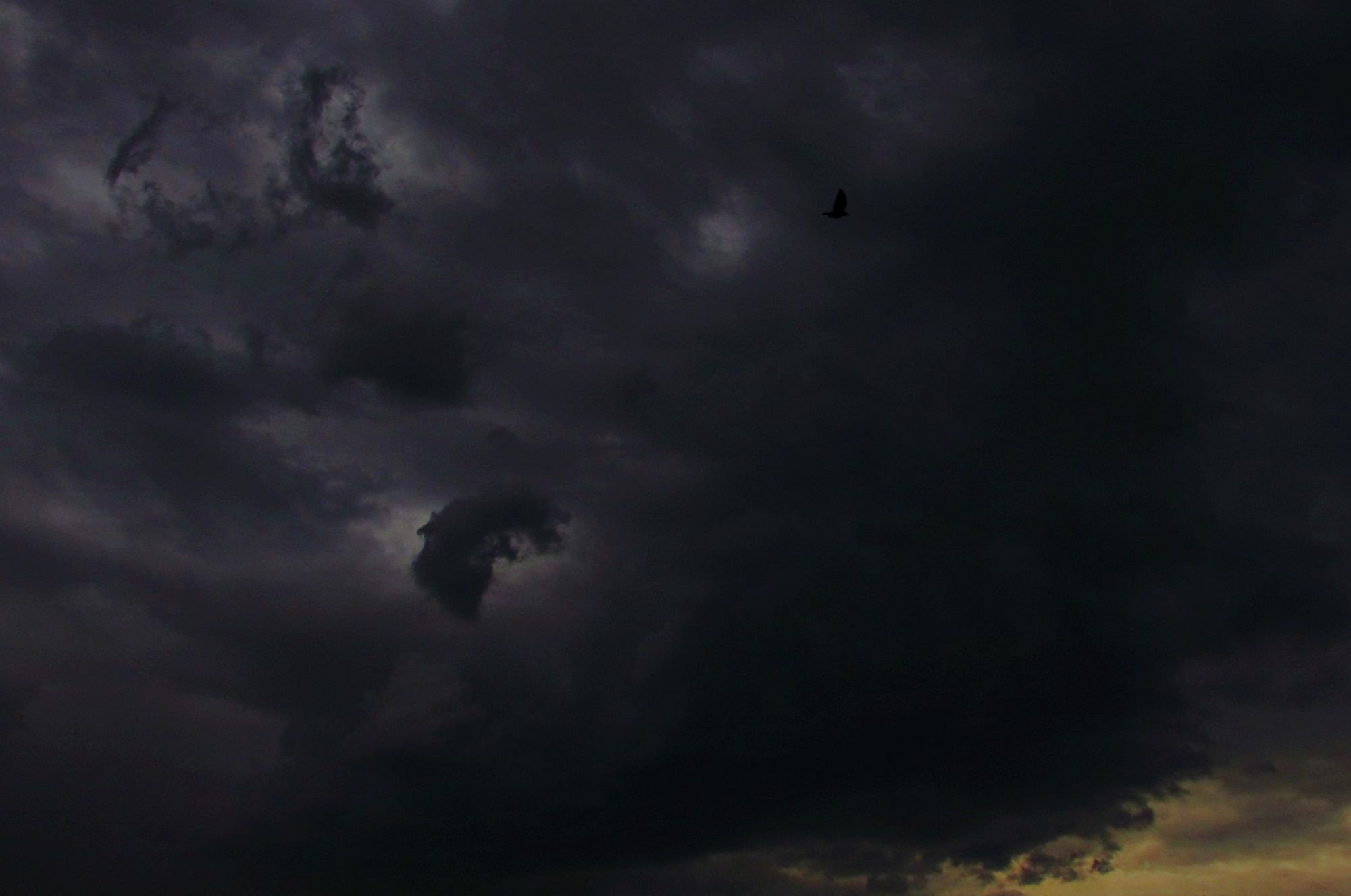 darkness covers