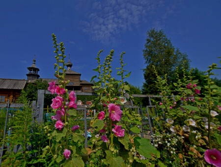 летняя жара