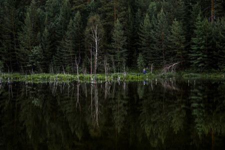 Одинокий