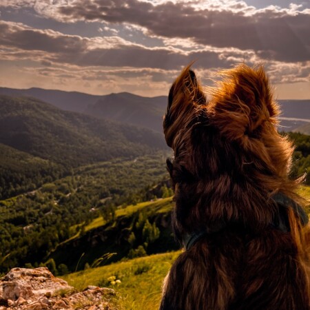 Маленькие горы Кеши