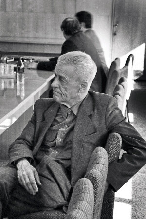 Академик Овсянников Л.В. (1919-2014)