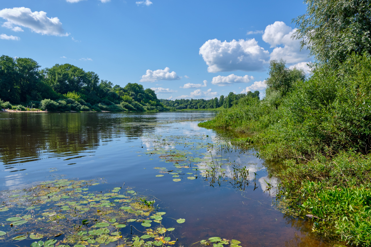 У реки