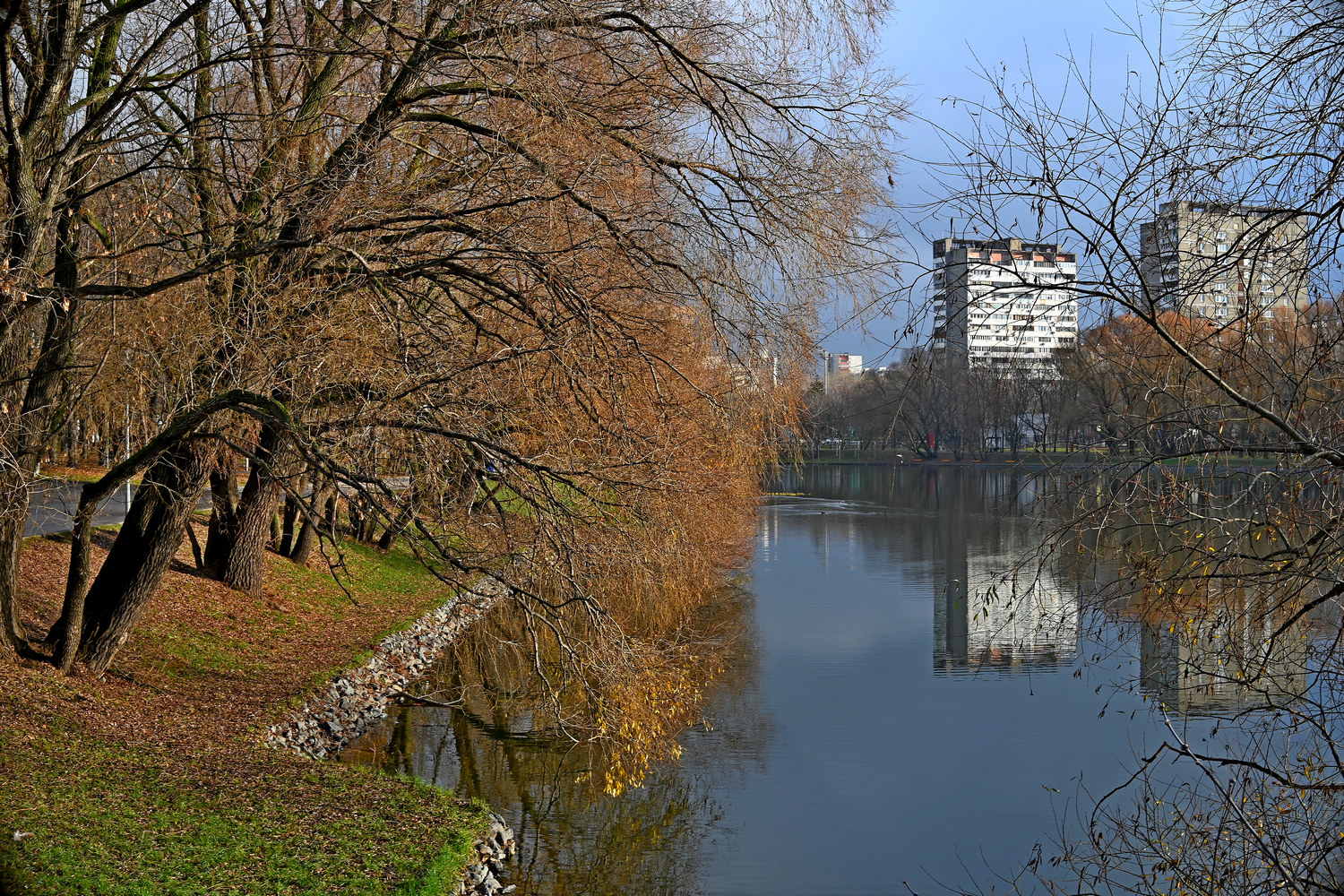Садки