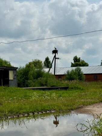 Сельский мотив