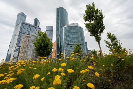 Москва-Сити