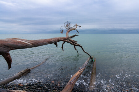 На рабочий стол.