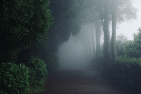 Путь в никуда