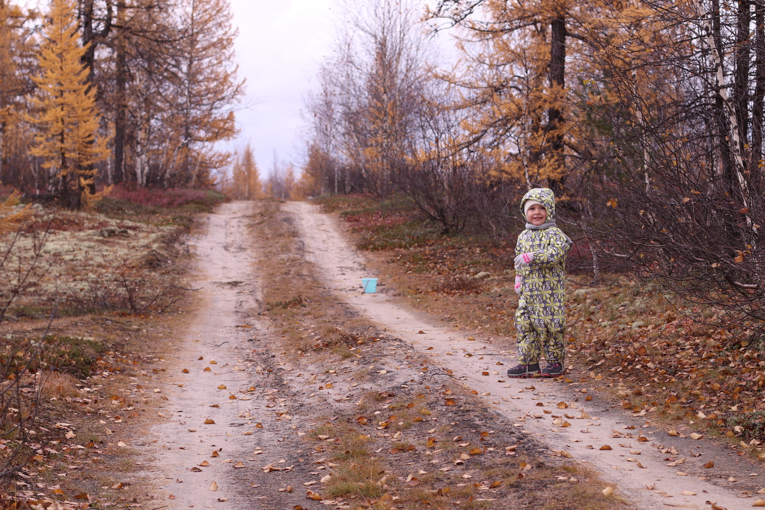 Краски осени на севере