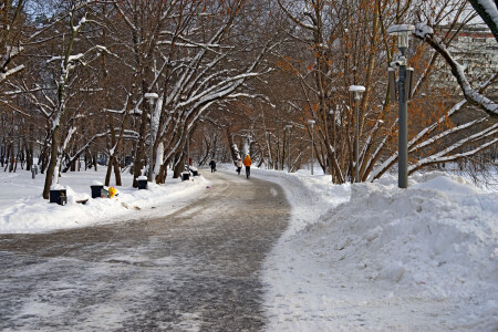 Городской парк