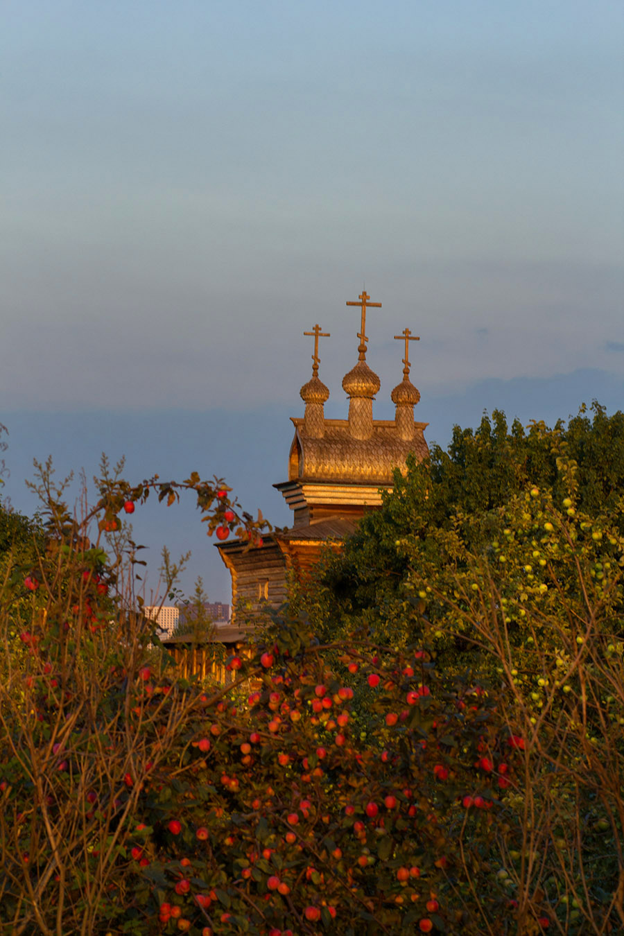 Церковь за листвой