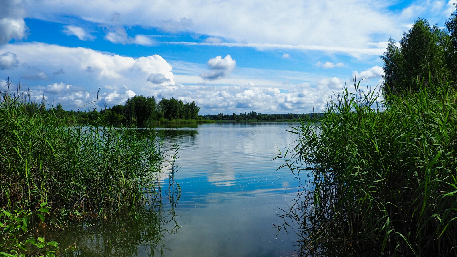 Природа Смоленщины 