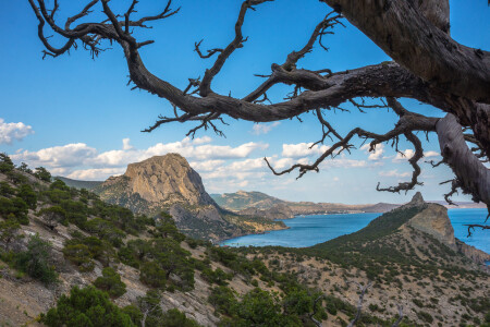 Новый Свет.Крым