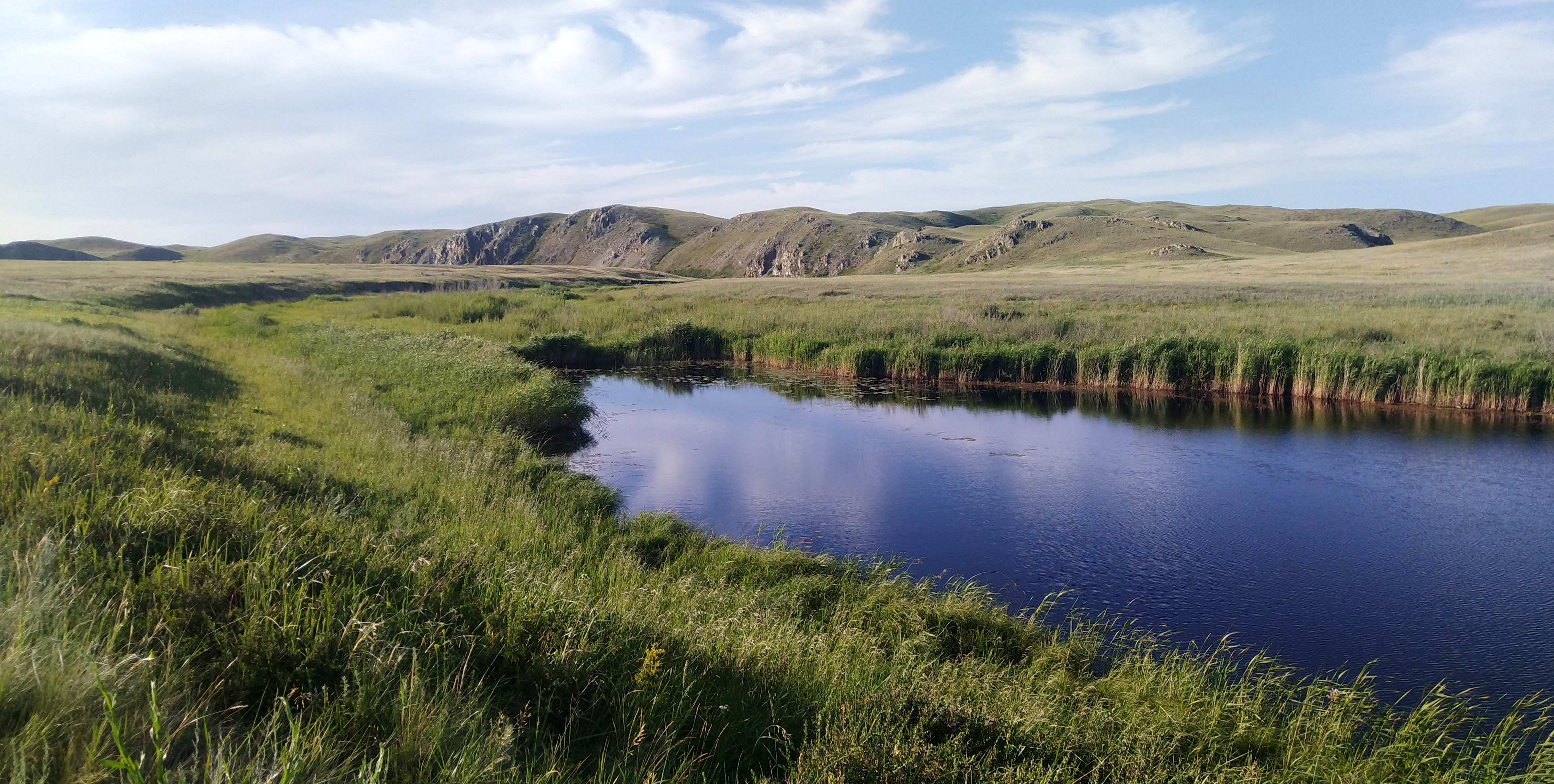 Оренбургская степь