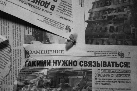 Мотыльки