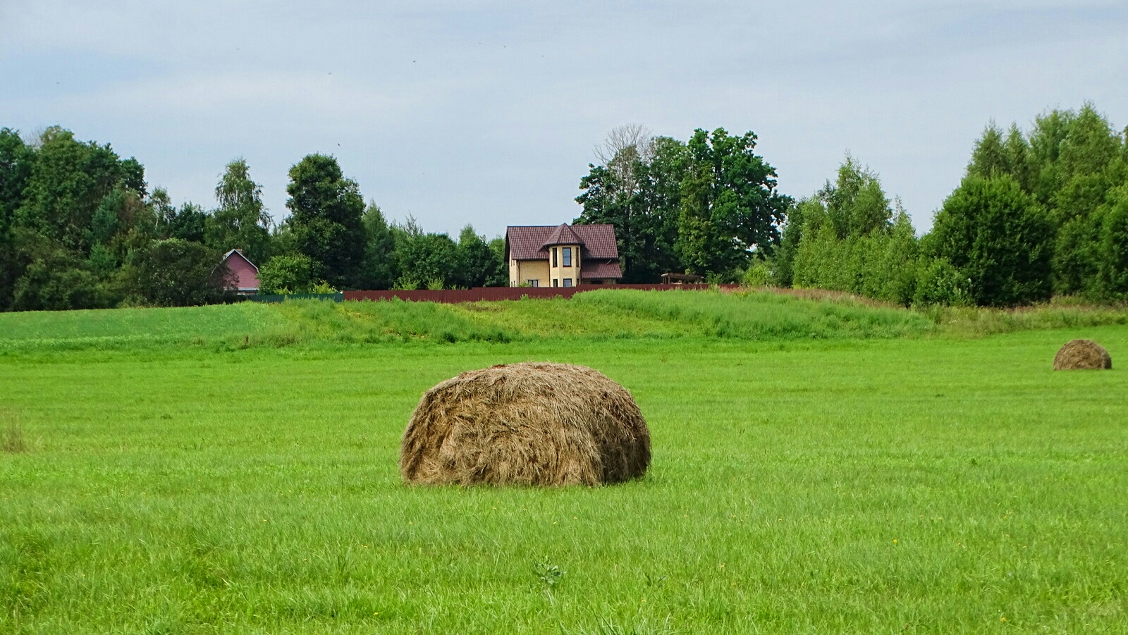 Природа Смоленщины 