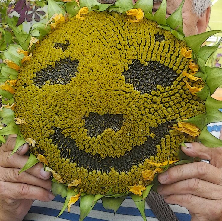 Летняя маска.