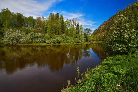 Утро мая на реке.