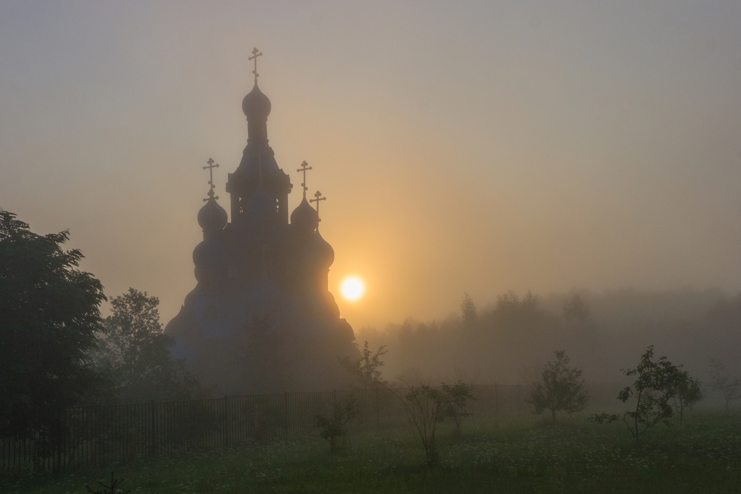 Солнце в тумане