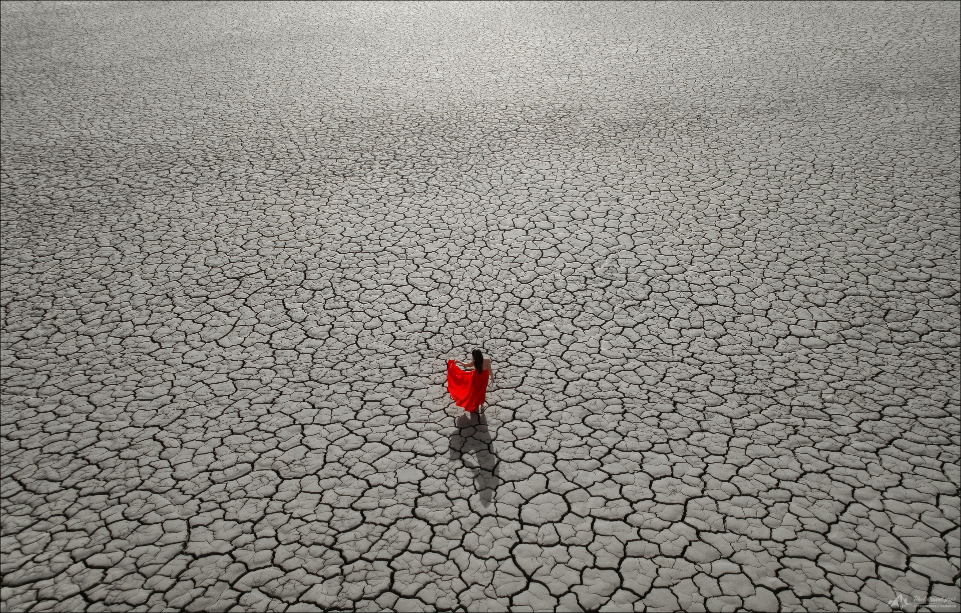 Desert Rose