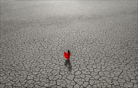 Desert Rose