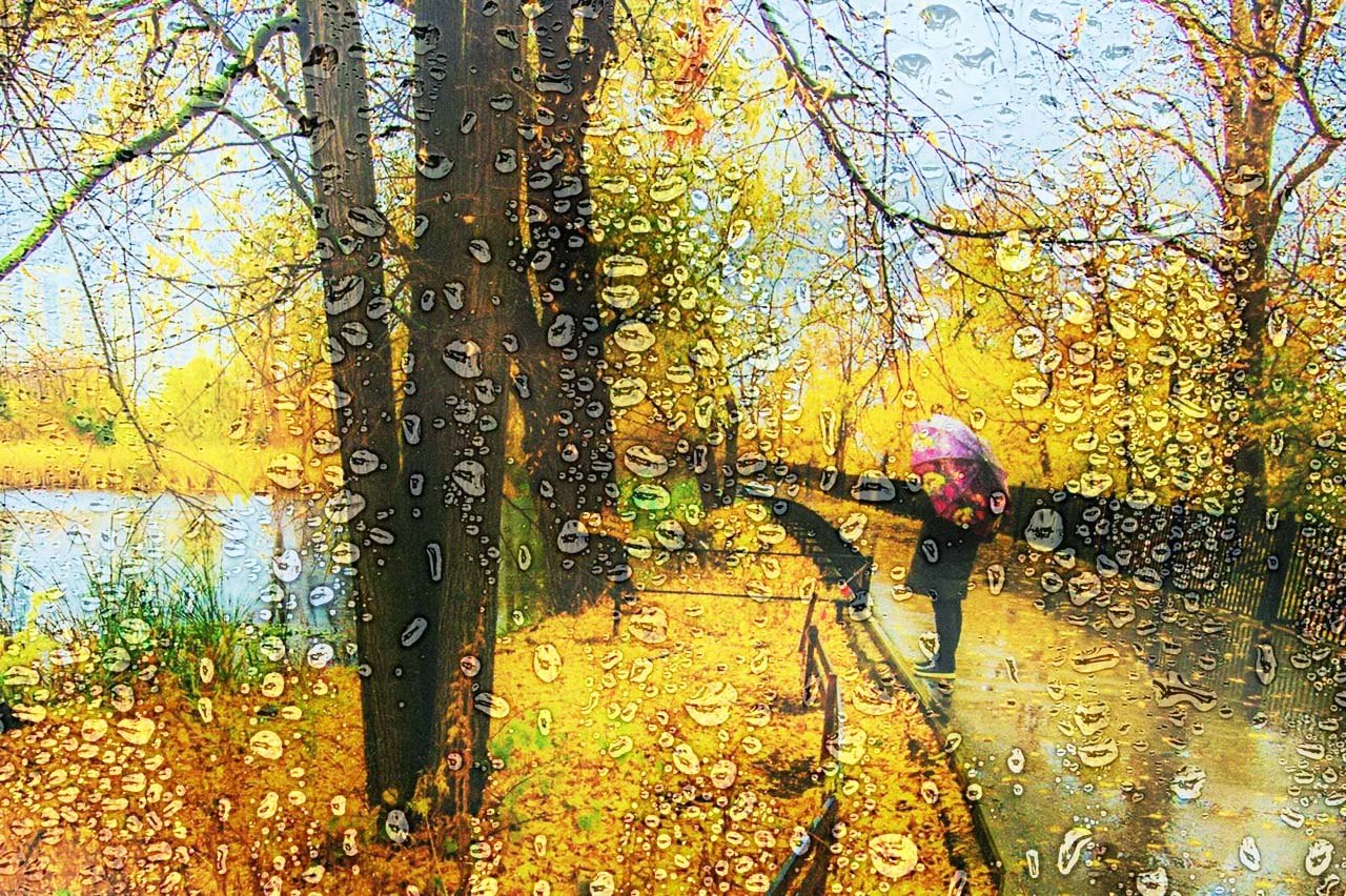 Осенний дождь