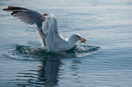 лёгкий завтрак