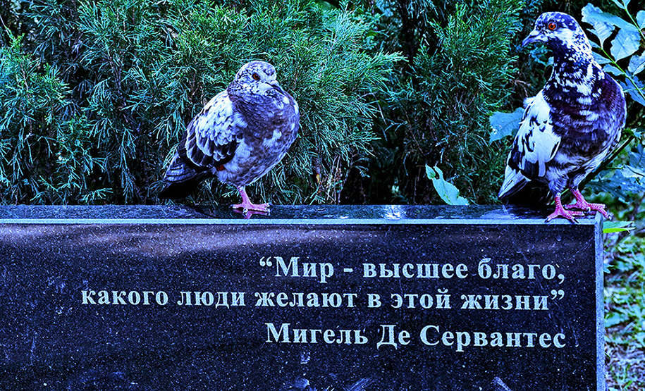 мудрость