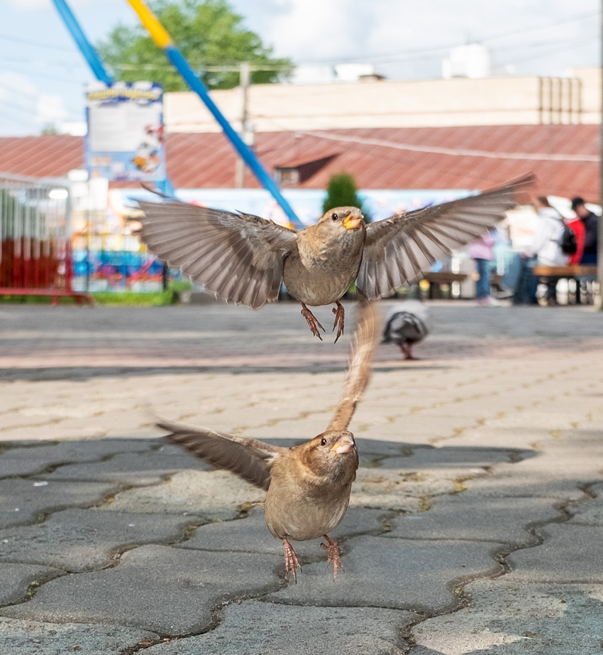 На посадку