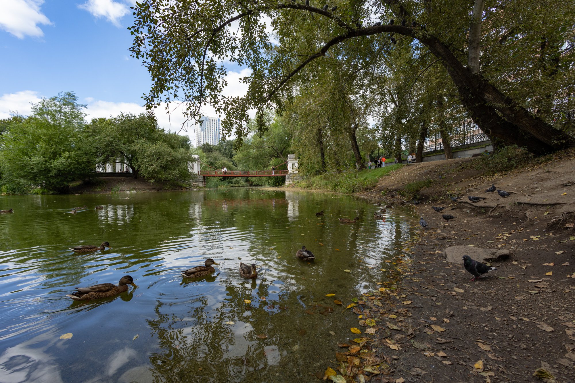 Скоро осень
