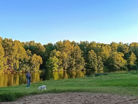 Вечерняя прогулка.