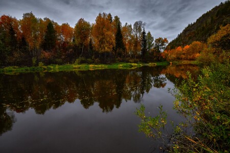 Листья плывут по осенней реке.
