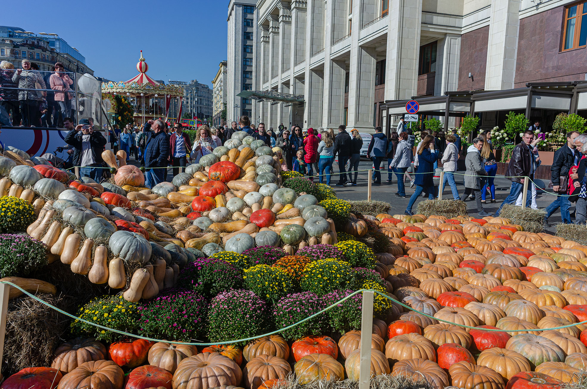 Бабочка