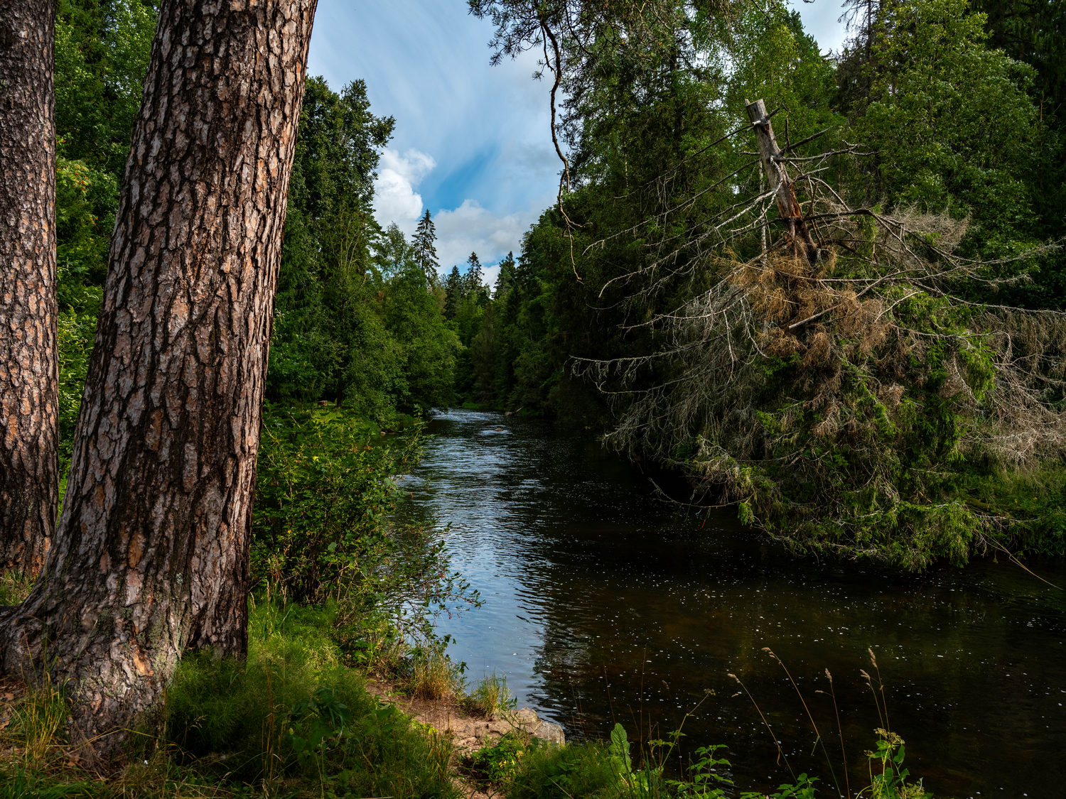 река Оредеж