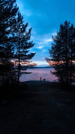 ковдозеро, кандалакша