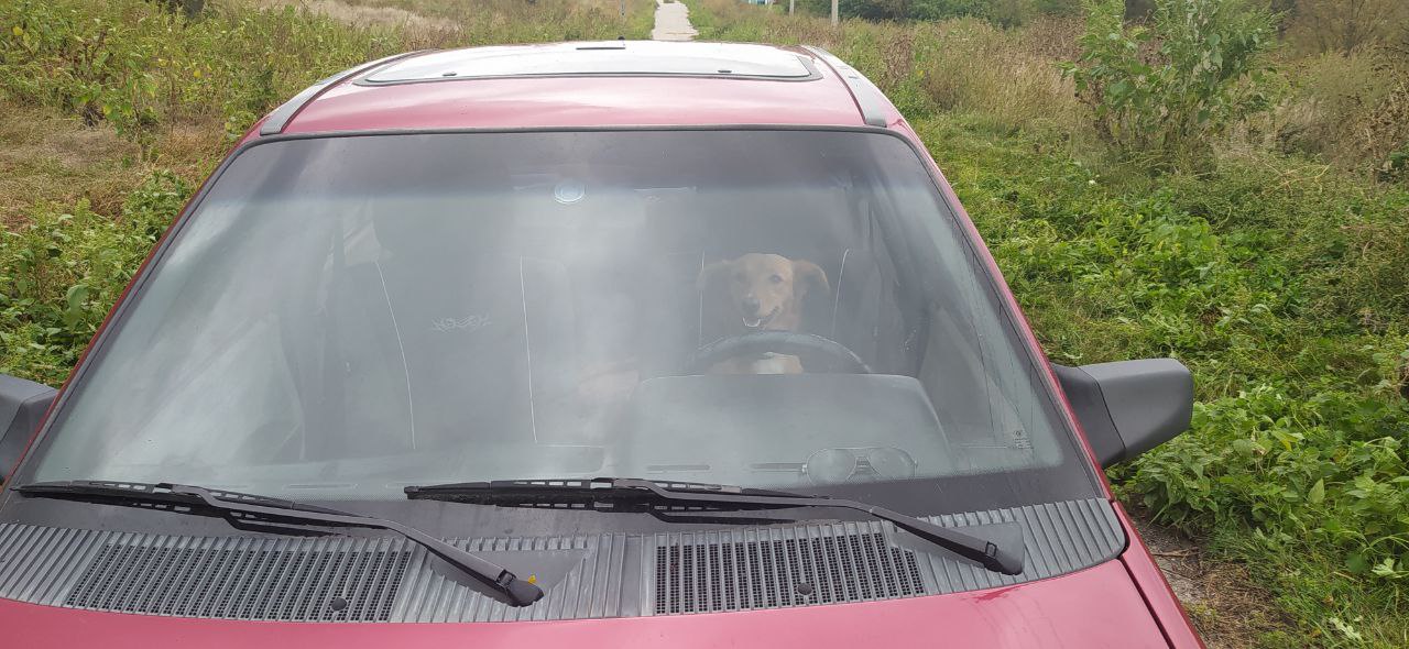 My lovely driver ;-)