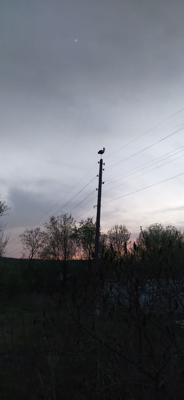 На закате
