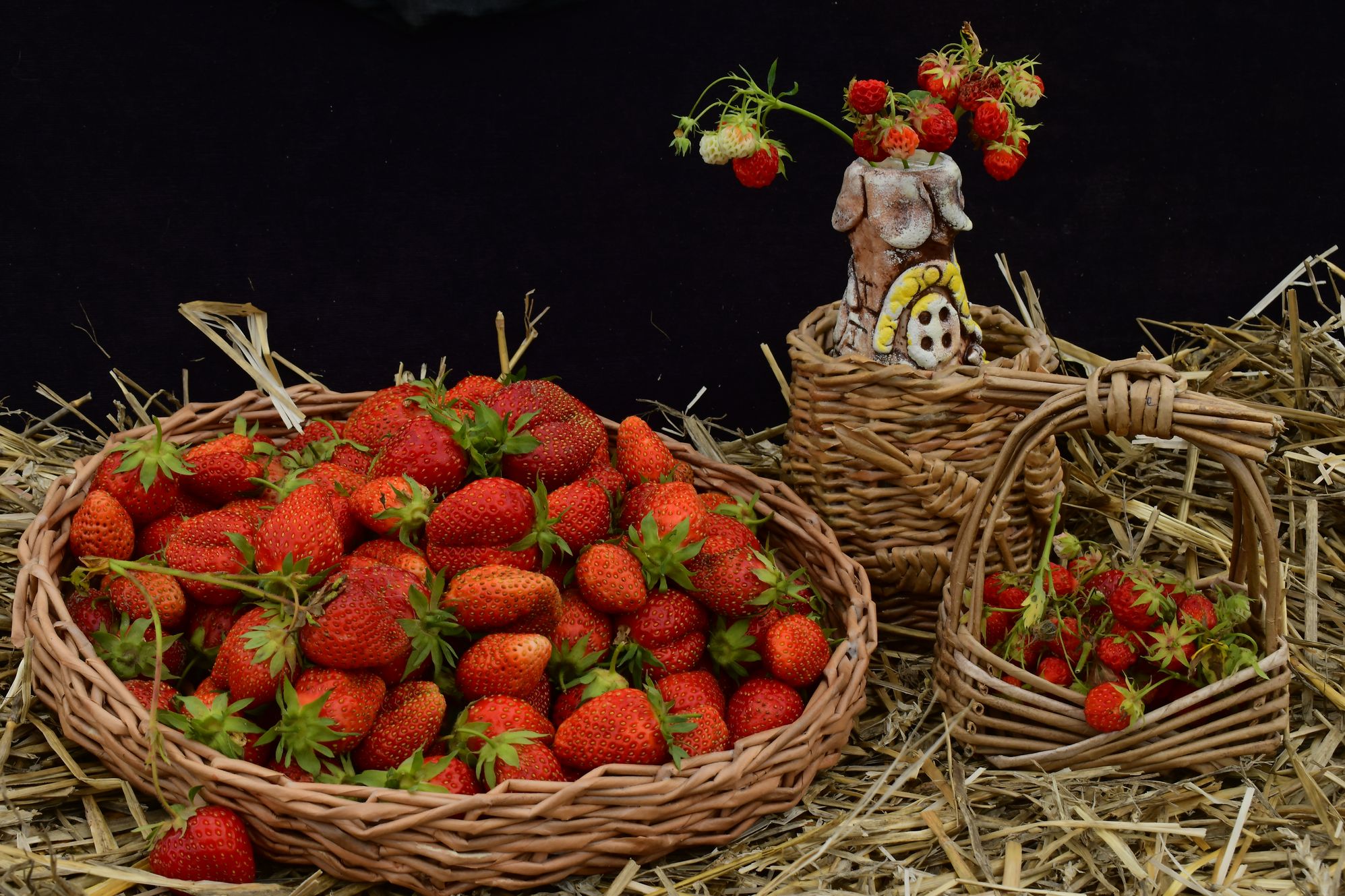 "Strawberry Fields Forever"