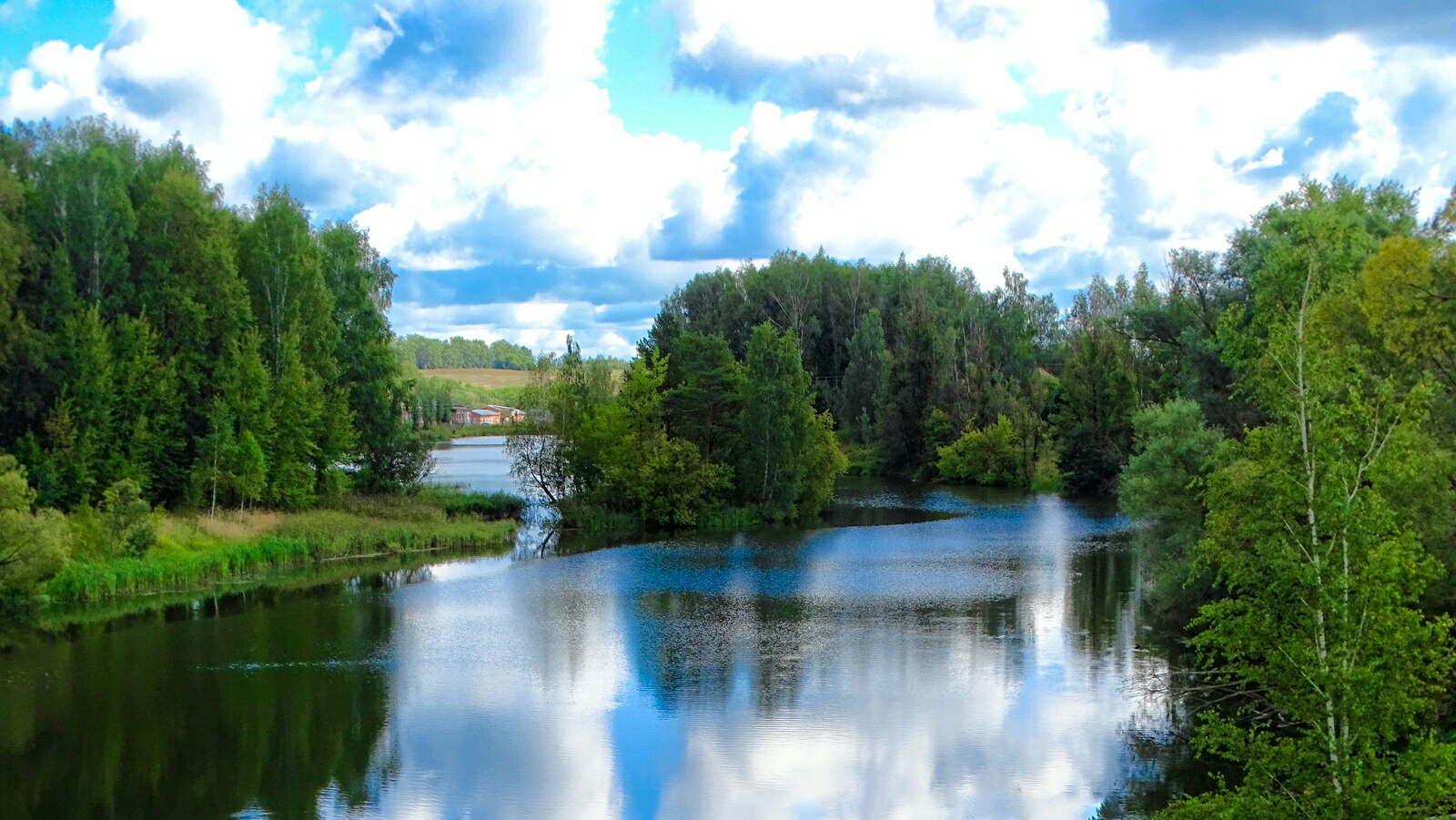 Природа Смоленщины 
