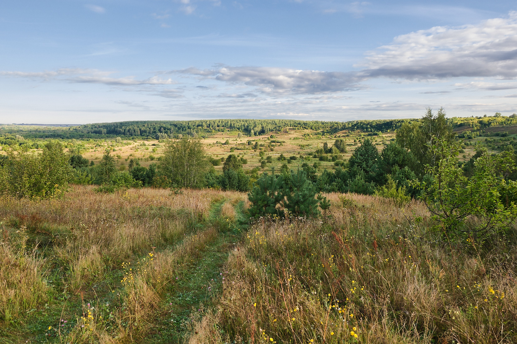 Дорога в лощинку