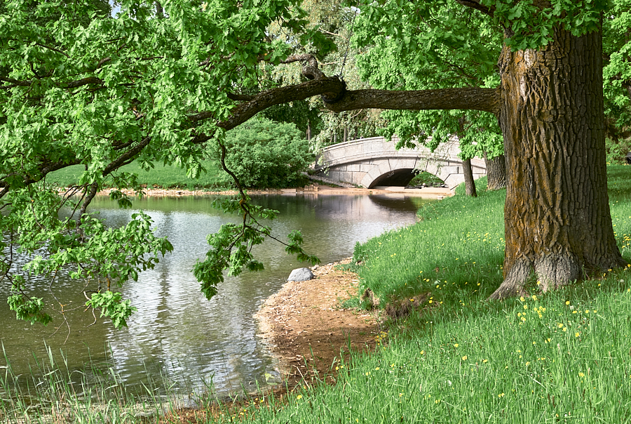 Екатериненский парк