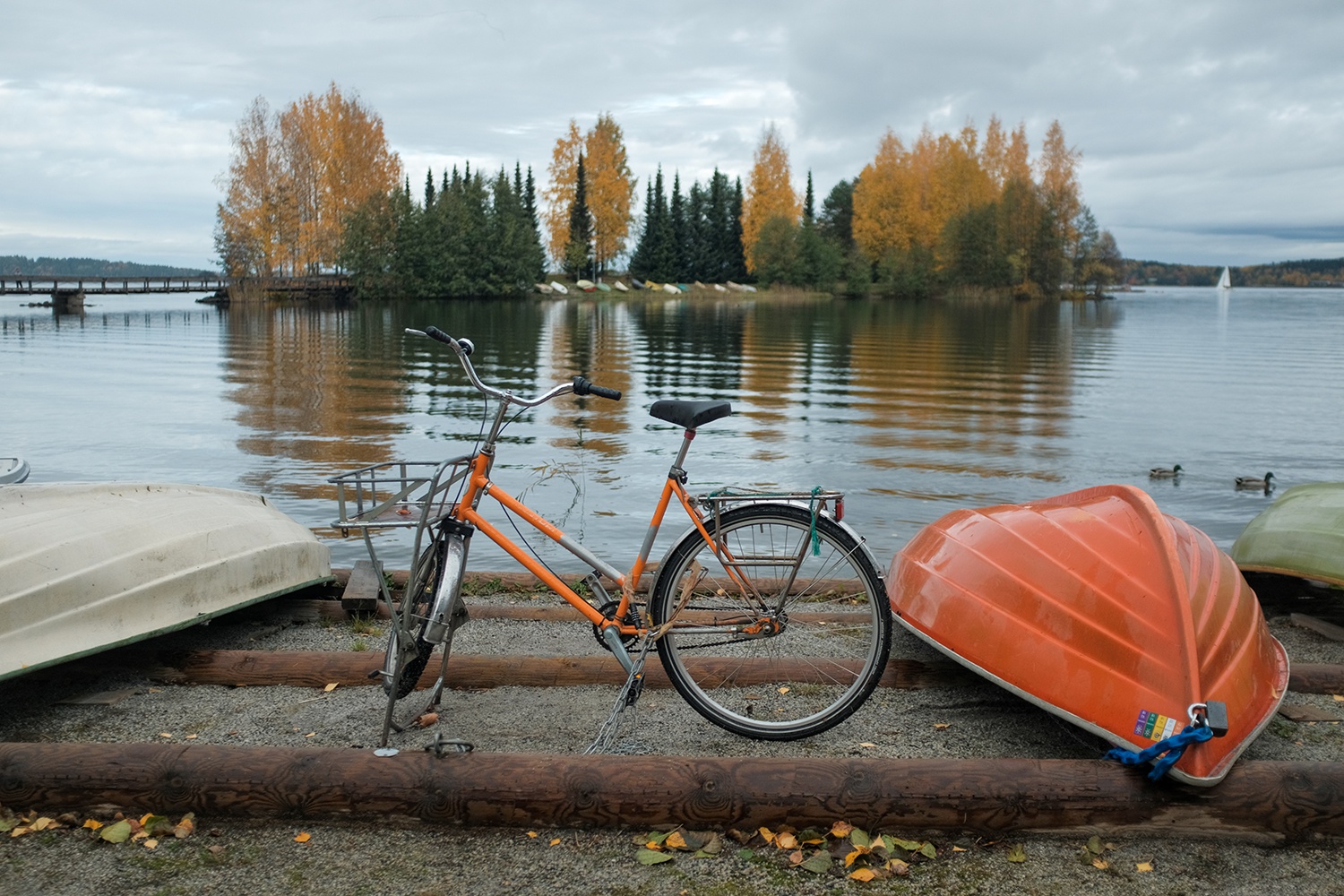 фокус вызванный стаканом голландской водки.